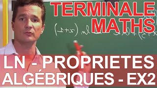 Logarithmes népériens  propriétés algébriques  Ex 2  Maths terminale  Les Bons Profs [upl. by Ennyleuqcaj]