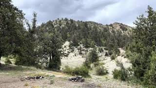 Ziarat Quetta ziarat quetta ziyarat beauty mountains sudia shortsvideo snow meadowstravel [upl. by Nosreg]