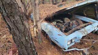 Ford Gran Torinos Junkyard Find [upl. by Chirlin551]