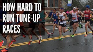 How Hard Should You Run Tune Up Races [upl. by Ezalb]