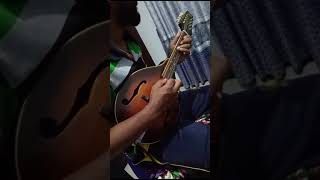 napuru wenna epa kiyala  නපුරු වෙන්න එපා කියල  chamara weerasinghe  short mandolin cover [upl. by Kramnhoj784]