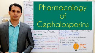 Pharmacology of Cephalosporins Beta Lactams  Cell Wall Synthesis Inhibitors [upl. by Kcireddor]