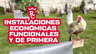 Ideas económicas para gallos  instalaciones de gallos  Rancho Caballero [upl. by Atem]