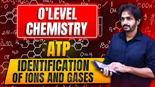 identification of ions and gases 3 [upl. by Lerred]