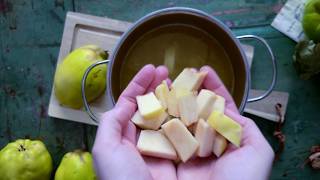 Quitten einkochen einfache Marmelade mit Quitten [upl. by Dowell]