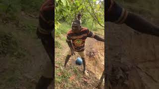 Cocoa Tree Cut Down By Galamsey Boys news [upl. by Aser]