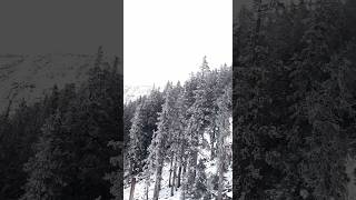 Flagstaff Snow Bowl shorts shortsvideo reels usa gondola viralvideo [upl. by Htir860]