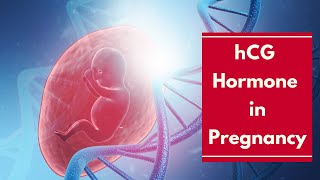 What You Need to Know About hCG Hormone in Pregnancy [upl. by Fenny]