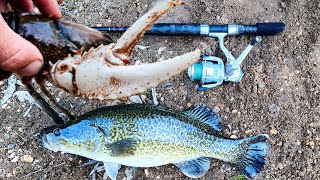 Catching Crayfish Cod And Cold Feet Murray Cod Fishing In May [upl. by Wallinga]