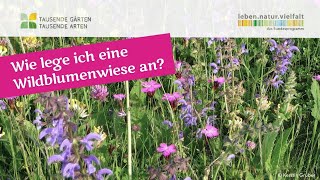 Wie lege ich eine Wildblumenwiese an [upl. by Eilra]