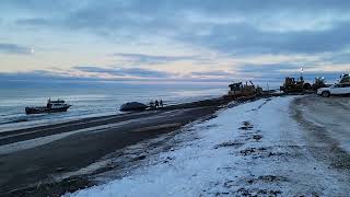 🐋 Bowhead Whale Harvest 🐋 [upl. by Ziagos193]