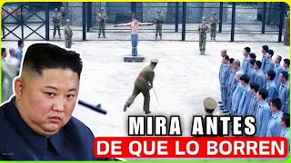 ESCALOFRIANTES VERDADES de los Desertores de Corea del Norte Historias que Te Perseguirán [upl. by Dorweiler470]