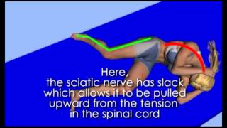 sciatic nerve flossing from Active Spine and Sport [upl. by Nitsoj]