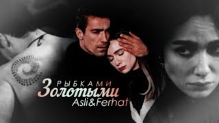 ■ asli amp ferhat золотыми рыбками [upl. by Garald634]