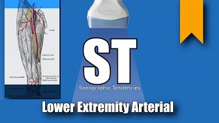 Lower Extremity Arterial Duplex Anatomy and Protocol [upl. by Akimehs]