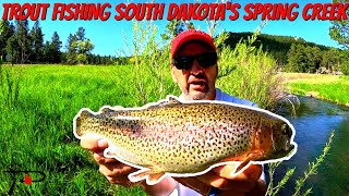 Trout Fishing South Dakota Spring Creek [upl. by Zolly688]