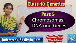 Chromosomes DNA and Genes Class 10 Science Unit 18 Genetics [upl. by Aizan]