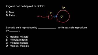 Gamete Zygote meiosis mitosis [upl. by Vanzant743]