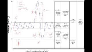 Lung Volumes and Basic Spirometry [upl. by Sadonia]