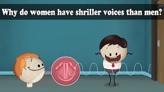 Frequency  Why do women have shriller voices than men  aumsum kids science [upl. by Sadoff]