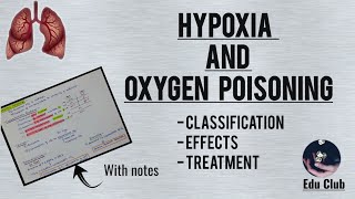 Hypoxia And Its Treatment  Oxygen Toxicity  Respiratory Physiology [upl. by Yerkovich]