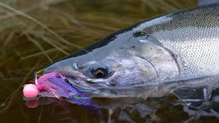 Addicted Alaska 1  Alaskan Coho Salmon Fishing Full Movie [upl. by Ainahs]