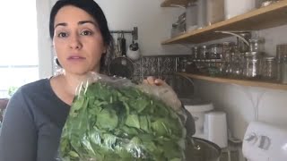 How to Freeze Spinach Preserving Spinach for Months [upl. by Arob232]