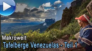 Die Tafelberge Venezuelas  Makrofotografie Teil 1 [upl. by Sergius]