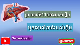 មុខងារថ្លេីម liver function ផលប្រយោជន៍11យ៉ាងរបស់ថ្លេីម [upl. by Nodnol775]