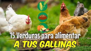 15 VERDURAS que puedes darles a tus GALLINAS 🐔 [upl. by Dopp]