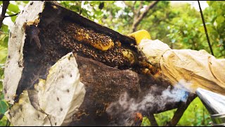 Upendo Honey Documentary  Full version [upl. by Sokul]