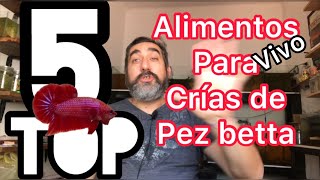 Que alimentos Vivos hace CRECER RÁPIDO A las crías del PEZ BETTA [upl. by Hathcock931]