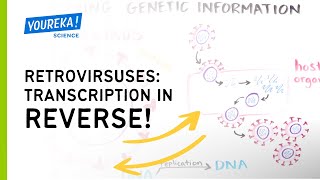 Retroviruses Transcription in Reverse [upl. by Aronoel]