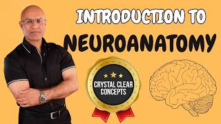 Intro to Neuroanatomy  Neurophysiology  Neuroscience  Central Nervous System [upl. by Allehc]