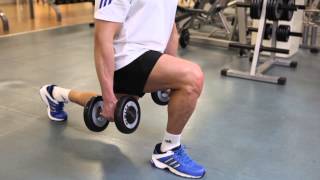 Dumbbell Lunges  Thighs Exercise [upl. by Etteiluj]