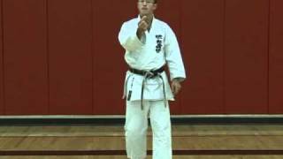 Karate Concepts Focus [upl. by Dnartreb]