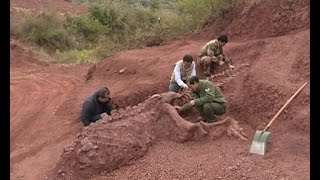 180 mlnyearold dinosaur fossils discovered in SW China [upl. by Genni]