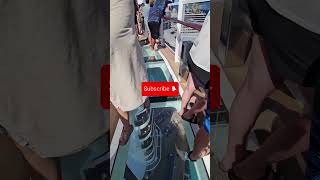 Glass Bridge Walking on a glass bridge Cruise Ship Glass Bridge [upl. by Gregory681]