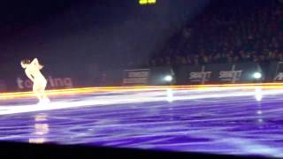 荒川静香さん Art on Ice in Zurich 2013 [upl. by Gambell190]