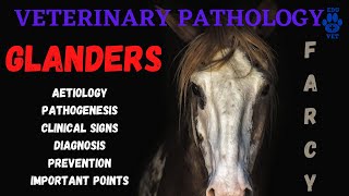 Glanders Equine Farcy  Aetiology  Pathogenesis  Symptoms amp Diagnosis [upl. by Lib]