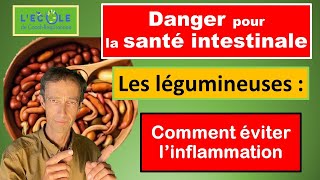 Digestion difficile et problème aux Intestins  pourquoi et comment TOUJOURS cuire les légumineuses [upl. by Htrap]