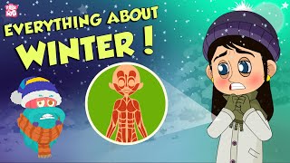 Everything About Winter Season  Snow  The Dr Binocs Show  Peekaboo Kidz [upl. by Summers510]