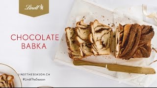 A Delicious Holiday Chocolate Babka Recipe [upl. by Allana]