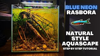 UNS 30C BLACKWATER FOR BLUE NEON RASBORAS Natural Style Aquascape Tutorial [upl. by Gellman]