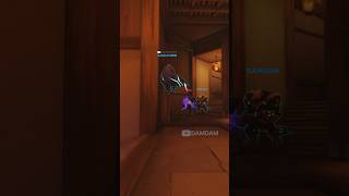 Is Reinhardt actually insane [upl. by Fleeta577]