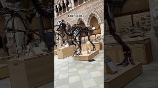 Oxford Museum shorts travel uk [upl. by Attenehs]