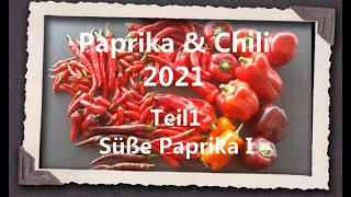 Paprika amp Chili 2021 Teil 1  Süße Paprika I [upl. by Ttenaej68]