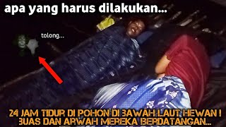 CAMPING HOROR 24 JAM TIDUR DI POHON PANTAI LAUT BANYAK HEWAN BUAS DAN ARWAH GENTAYANGAN MENGHANTUI [upl. by Web147]