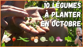 10 légumes à planter en octobre au potager [upl. by Belda]