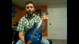 Mandolin sound demo at Hovington Instruments [upl. by Slavic906]